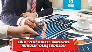 TÜİK 'Veri Kalite Kontrol Kurulu' oluşturuldu