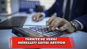 Türkiye'de vergi mükellefi sayısı artıyor