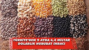 Türkiye'den 9 ayda 6,4 milyar dolarlık hububat ihracı