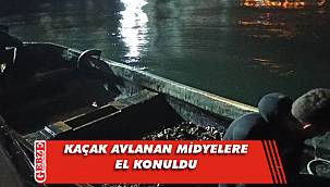 Yasa dışı avlanan 150 kilo midye denize bırakıldı