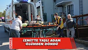 Yaşlı adam kestiği incir ağacının altında ölümden döndü