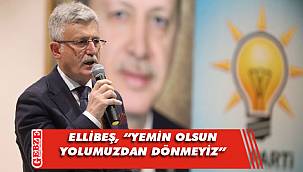 AK Partili Ellibeş, iktidarın yıldönümünü kutladı