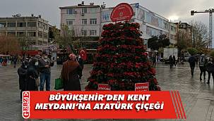 Ata'nın anısına kent meydanına Atatürk Çiçeği