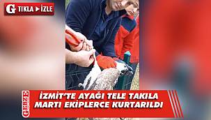 Ayağı tele takılan martıyı itfaiye kurtardı