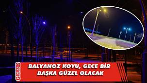 Balyanoz Koyu'nda ışıklandırma tamamlandı