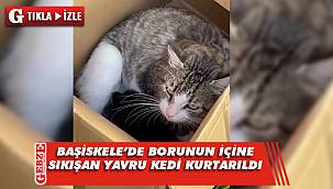 Borunun içine sıkışan yavru kedi, ekiplerce kurtarıldı