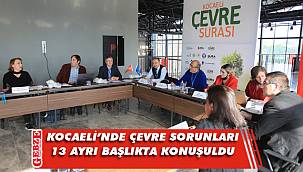 Çevre sorunlarının çözümü bu şurada konuşuldu