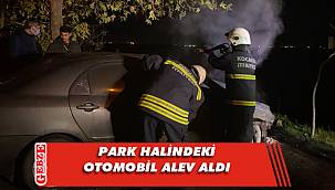 Darıca’da otomobil alevlere teslim oldu