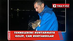 Darıcalı vatandaşlar sahilde can kurtardı