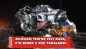 Dilovası TEM'de feci kaza