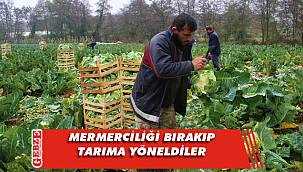 Gebzeli aile, bütün paralarını tarıma yatırdı