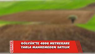 Gölcük'te 4808 metrekare tarla mahkemeden satılık