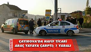 Hafif ticari araç yayaya çarptı