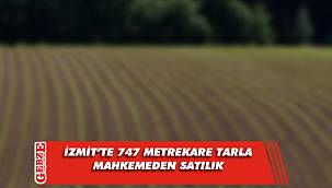 İzmit'te 747 metrekare tarla mahkemeden satılık