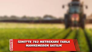 İzmit'te 782 metrekare tarla mahkemeden satılık