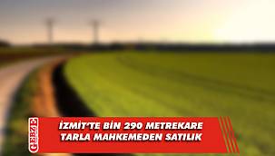 İzmit'te bin 290 metrekare tarla mahkemeden satılık