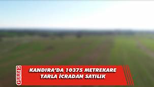 Kandıra'da 10373 metrekare tarla icradan satılık