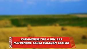 Karamürsel'de 6 bin 512 metrekare tarla icradan satılık