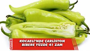 Kocaeli'nin Ekim ayı zam şampiyonu belli oldu