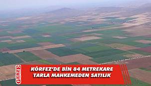  Körfez'de 1084 metrekare tarla mahkemeden satılık