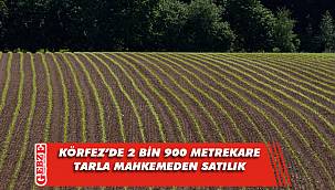 Körfez'de 2 bin 900 metrekare tarla mahkemeden satılık