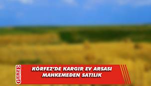 Körfez'de kargir ev arsası mahkemeden satılık