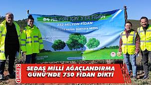 SEDAŞ Milli Ağaçlandırma Günü’nde findan dikti