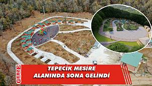 Yeni mesire alanında çalışmalar hızla sürüyor