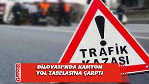 Yol tabelası direğine çarpan kamyon sürücüsü yaralandı