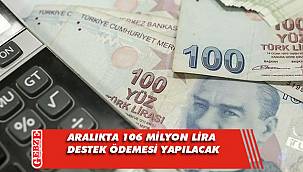Aralıkta 106 milyon lira destek ödemesi yapılacak