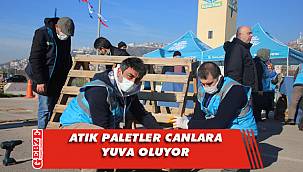 Atık paletlerden sokak hayvanlarına ev yapıyorlar