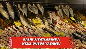 Balık fiyatları düştü, tezgâhlar doldu