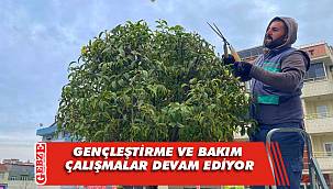 Çayırova’da mevsimlik budama çalışması