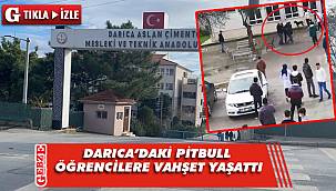 Darıca'da okula dalan pitbull öğrencilere dehşeti yaşattı