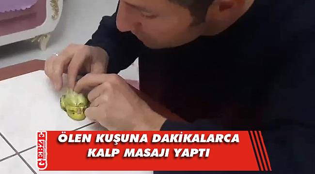 Darıcalı Uzunoğlu, kuşunu iki kez hayata döndürdü