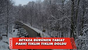 Eriklitepe Tabiat Parkı'nda beyaz manzara