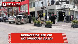  Fren yerine gaza basınca iki dükkana girdi