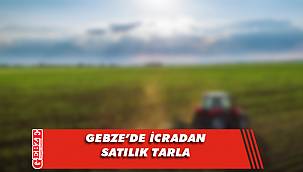 Gebze'de 3030 metrekare tarla icradan satılık