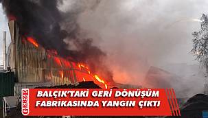 Gebze'de geri dönüşüm fabrikasında yangın çıktı