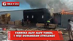 Gebze'de kereste fabrikası alev alev yandı