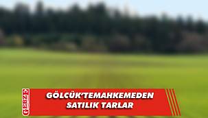 Gölcük'te 2030 metrekare tarla mahkemeden satılık