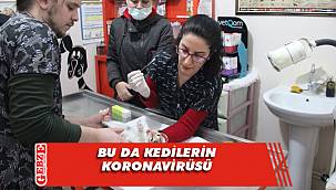 Hayvan sahiplerine çok önemli uyarı var