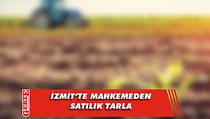 İzmit'te 19 bin 249 metrekare tarla mahkemeden satılık