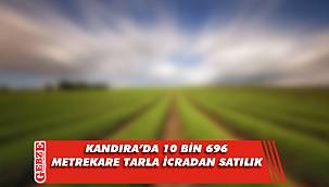Kandıra'da 10 bin 696 metrekare tarla icradan satılık