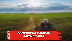 Kandıra'da 1127 metrekare tarla icradan satılık