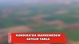 Kandıra'da 702 metrekare tarla mahkemeden satılık