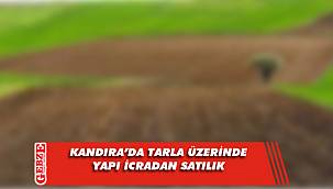 Kandıra'da 8 bin 795 metrekare tarla üzerinde yapı icradan satılık