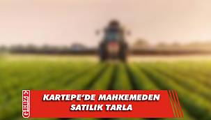 Kartepe'de 2 bin 731 metrekare tarla mahkemeden satılık
