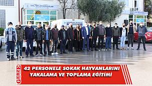 Kocaeli'de sokak hayvanlarını yakalama ve toplama eğitimi