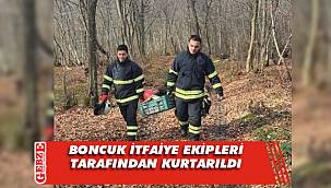 Küçük köpek başarılı operasyonla kurtarıldı